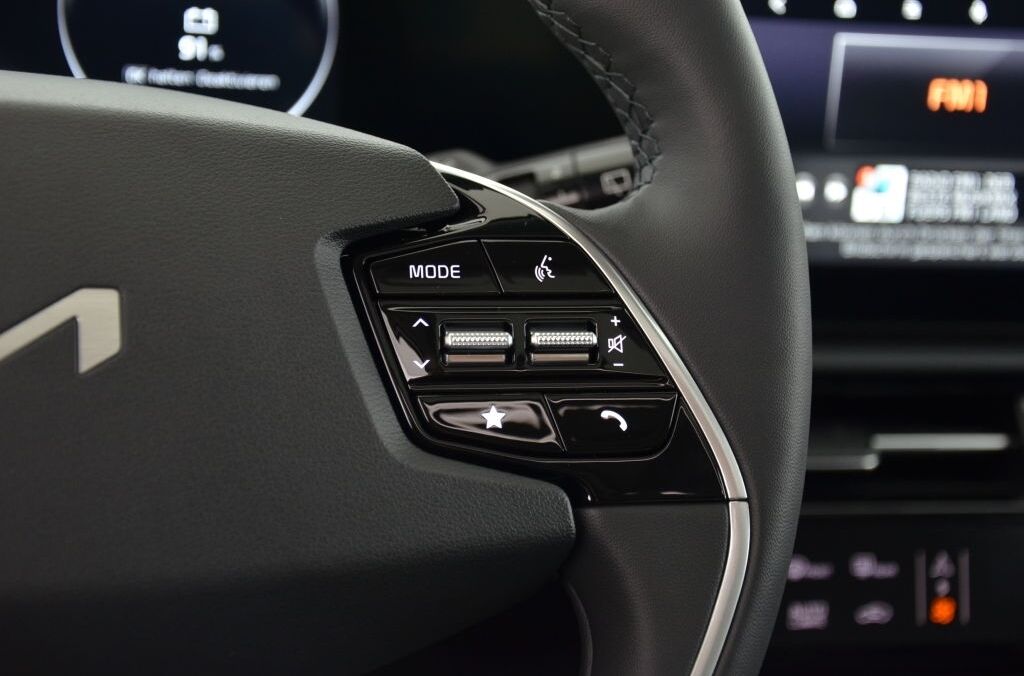 KIA Niro EV Style Plus - Ebnat-Kappel