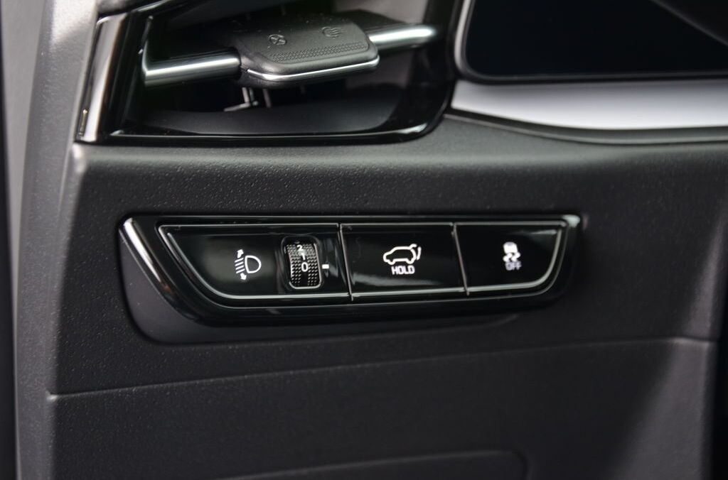 KIA Niro EV Style Plus - Ebnat-Kappel