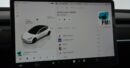 TESLA Model 3 Performance Dual AWD - Ebnat-Kappel