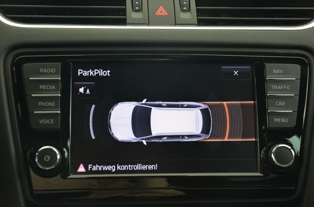 SKODA Octavia 2.0 TDI RS DSG - Ebnat-Kappel