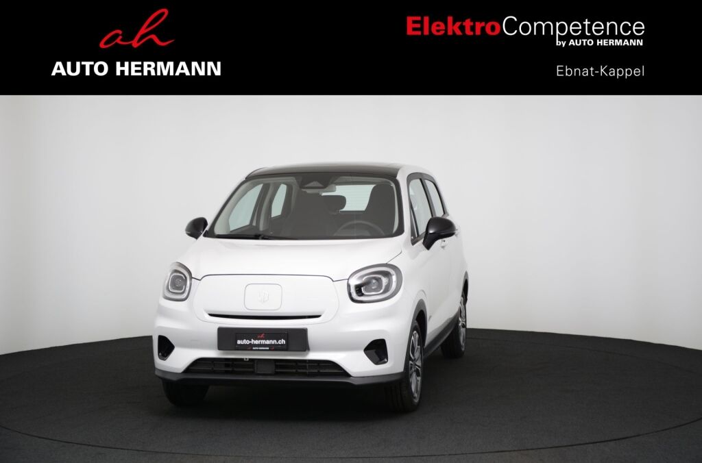 LEAPMOTOR T03 37kWh - Ebnat-Kappel