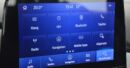 FORD Fiesta 1.0 SCTi ST Line - Ebnat-Kappel